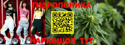 дурь Заводоуковск
