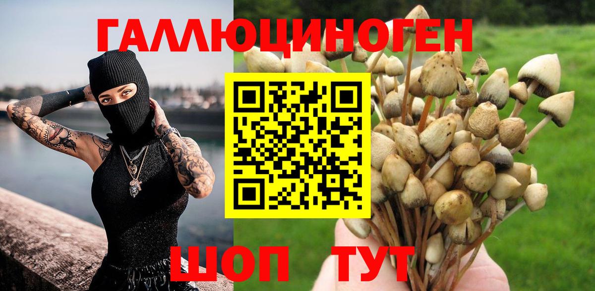 Галлюциногенные грибы Psilocybe  Псилоцибиновые грибы Psilocybe  Североморск  Вход с VPN 